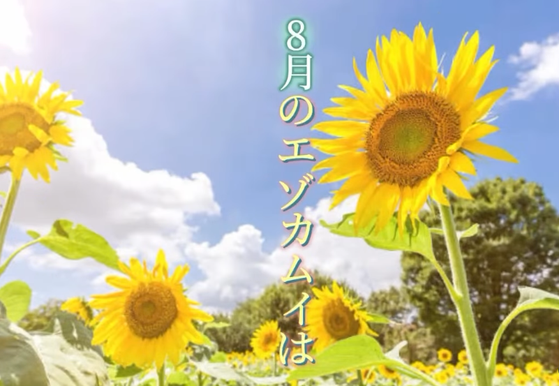 8月限定サマーイベントの写真